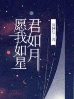 愿我如星君如月是什么诗