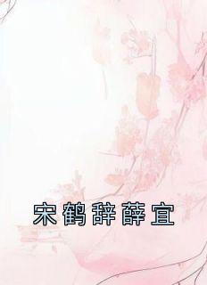 宋薛lofter