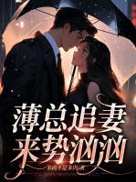 薄总追妻请止步薄行止