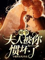 峤爷夫人被你惯坏了免费全集