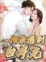 相亲对象竟是白月光