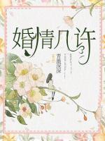 婚情几许短剧演员表