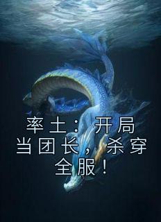 率土开局就流浪
