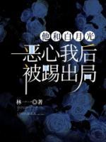 她和白月光男神he笔趣阁