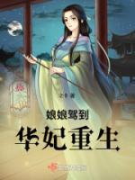 甄嬛传年世兰重生推荐