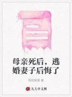 林念宋晚晚免费阅读