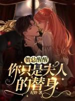 司婳贺延霄