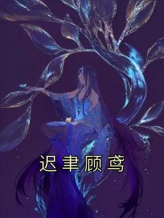 迟聿顾鸢笔趣阁