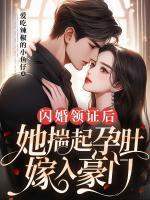 闪婚孕妻太燎人