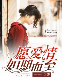 辛少轩叶知秋免费
