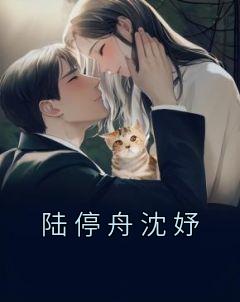 沈妤陆行舟第二章