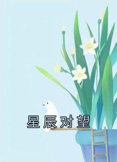 星辰对仗什么