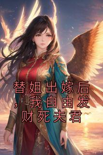 替阿姐出嫁之后