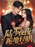 禁止离婚!陆少夜夜跪地轻哄丨人物关系