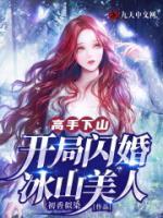 我的闪婚老婆免费阅读