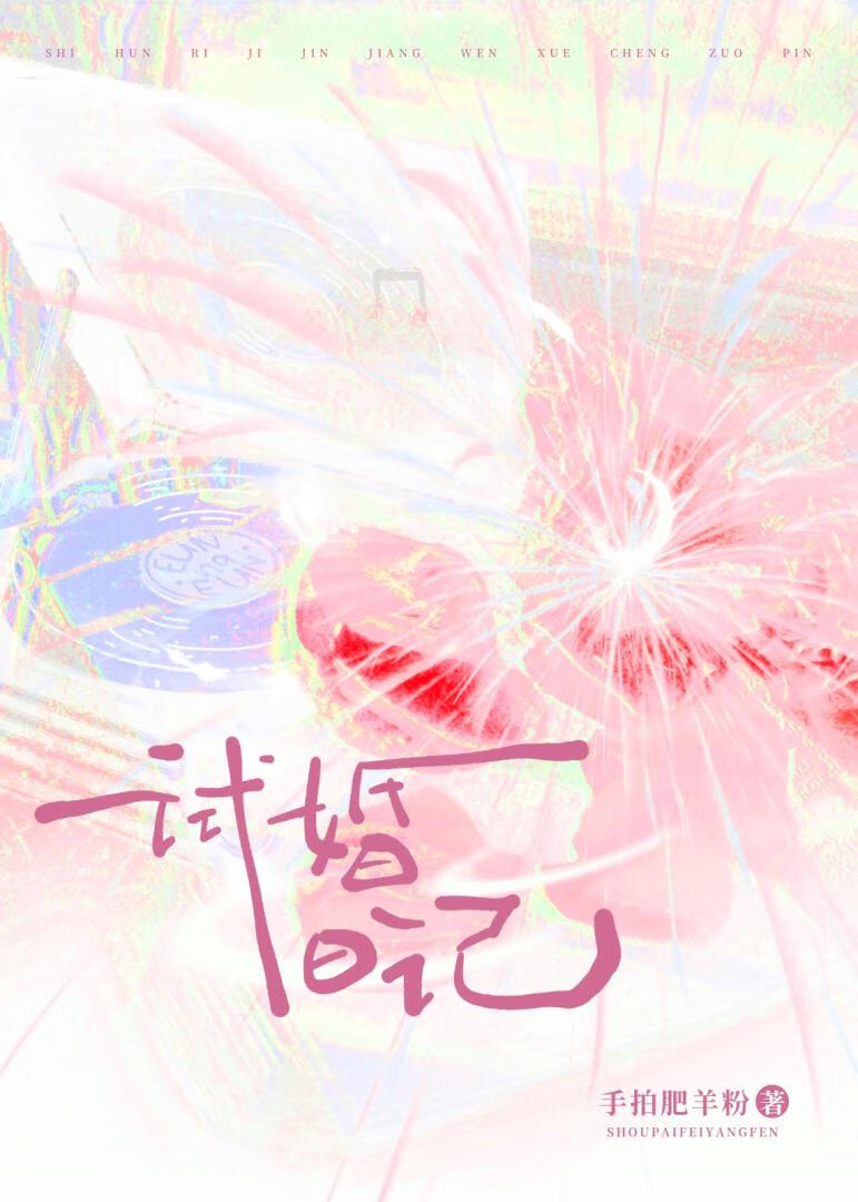 试婚日记TXT资源