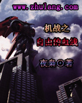 机战dd 自由
