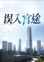 误入官途林水根