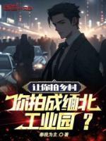 缅北宣传视频