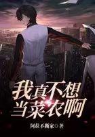 继续播放李师师