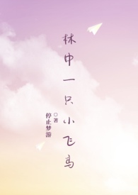 林中一只小飞鸟全文免费阅读