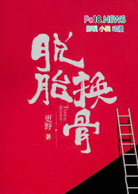 脱胎换骨 歌词