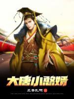 大唐憨婿动画完整版