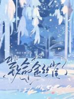 金丝雀狐狸不归