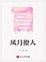 风月指的什么意思