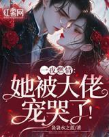 一夜缠绵大佬宠妻在线阅读