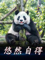 悠然自得情景描写