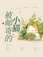 被邮寄的小猫能养活吗