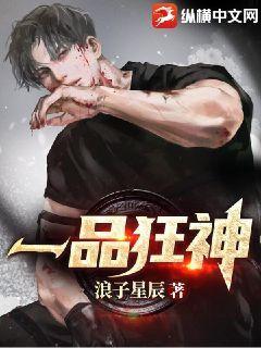 一品狂夫