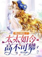 傅太太无弹窗全文阅读
