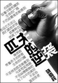 匹夫的逆袭人在江湖