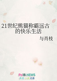 熊猫时代是干什么的