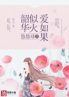 韶华如初是什么意思