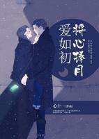 将心捧月爱如初免费阅读