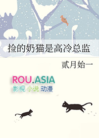 捡的奶猫是高冷总监 贰月始一