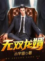 无双龙婿 夜的风