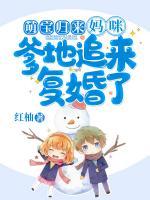 霍言深贺繁星免费阅读