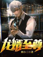 至尊龙婿123