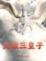 无敌三皇子免费视频播放