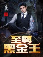 陆豪是谁