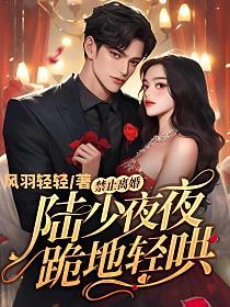 禁止离婚!陆少夜夜跪地轻哄在线阅读