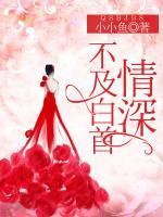 情深不及白首大结局