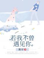 若不曾遇见你详情