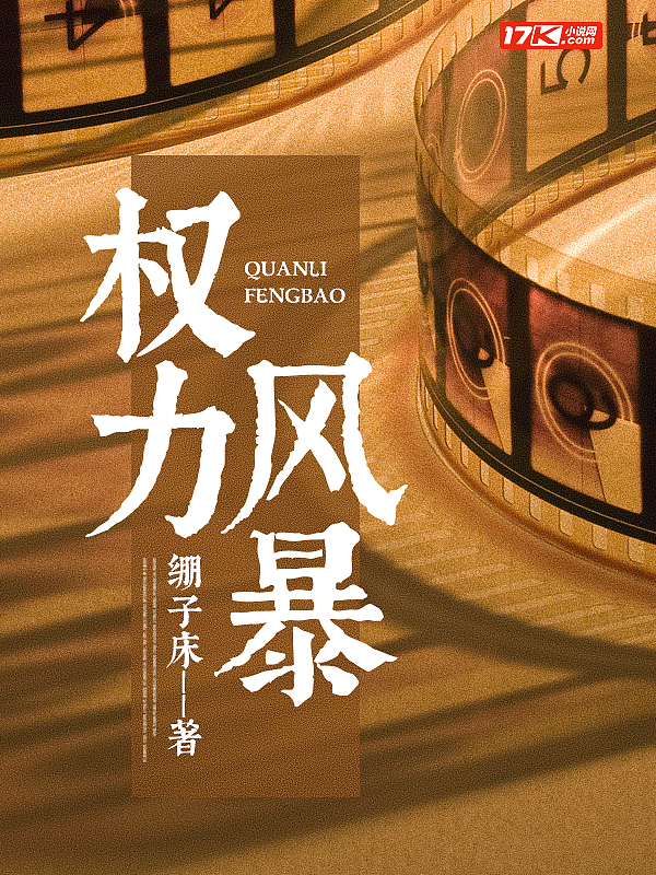 权力风暴全集