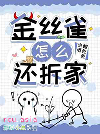 金丝雀怎么还拆家免费读