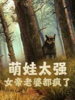 楚风龙雨柔正版最新章节